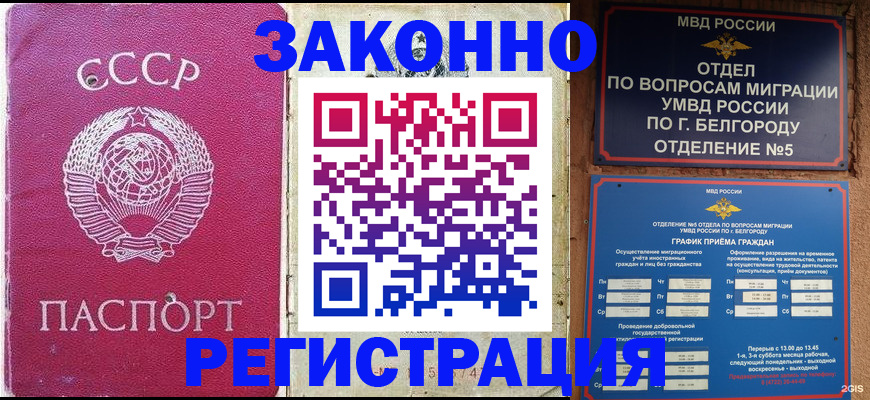 временная прописка в Волгограде